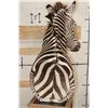 Image 13 : ZEBRA and Rustic Wood Pedestal Mount