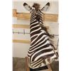 Image 14 : ZEBRA and Rustic Wood Pedestal Mount