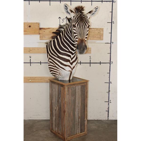 ZEBRA and Rustic Wood Pedestal Mount