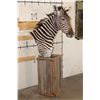 Image 3 : ZEBRA and Rustic Wood Pedestal Mount