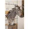 Image 4 : ZEBRA and Rustic Wood Pedestal Mount