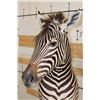 Image 8 : ZEBRA and Rustic Wood Pedestal Mount