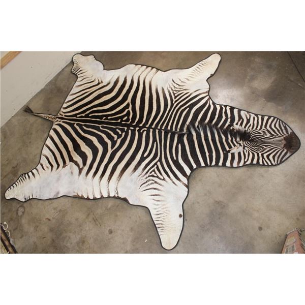 ZEBRA Rug with a Carpet Backing, Haning Loops, and Leather Piping