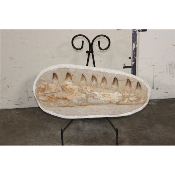 MOSASAURUS Jaw Fossil in a Matrix with 8 Big Teeth and a Metal Display Stand