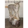 Image 5 : Life-sized LYNX on a simulated Rock Base