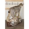 Image 6 : Life-sized LYNX on a simulated Rock Base