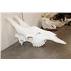 Image 6 : XXL GIRAFFE Skull with All its Teeth