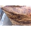Image 6 : Big Brindle Cowhide COUCH or SOFA