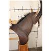 Image 5 : SABLE on a Wooden Pedestal Mount