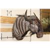 Image 3 : Big BLUE WILDEBEEST Shoulder Mount