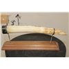 Image 10 : Scrimshawed HIPPOPOTAMUS Ivory Tusk by African artist Luciana Masina