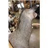 Image 6 : NILGAI Bull Shoulder Mount