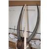 Image 9 : WATERBUCK Shoulder Mount