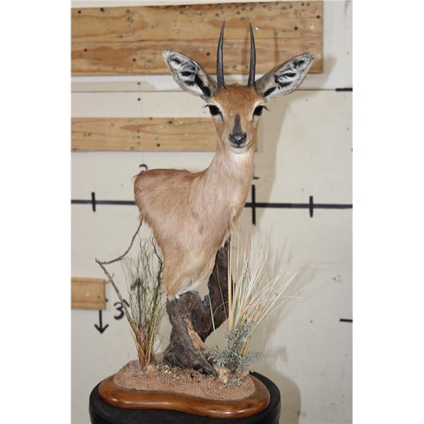 STEENBOK Table Pedestal