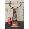 Image 2 : Original Cast Bronze "RED STAG" on a Wooden Base signed and numbered by Raj   S. Paul