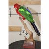 Image 1 : *Rarely Seen* AUSTRALIAN KING PARROT on a Wood Base with a Tree Branch Perch