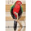 Image 3 : *Rarely Seen* AUSTRALIAN KING PARROT on a Wood Base with a Tree Branch Perch