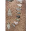 Image 4 : (49 Authentic Prehistoric South Texas Bandera Flint Arrowhead Spear Points in a Glass and Wood Frame