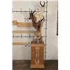 Image 10 : 1 Common, 1 Chocolate, and 1 White SPRINGBOK on a Rustic Wood Pedestal with Wheels