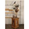 Image 2 : 1 Common, 1 Chocolate, and 1 White SPRINGBOK on a Rustic Wood Pedestal with Wheels