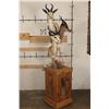 Image 3 : 1 Common, 1 Chocolate, and 1 White SPRINGBOK on a Rustic Wood Pedestal with Wheels