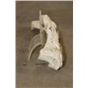 Image 11 : Scrimshawed HIPPOPOTAMUS Leg Bone by African artist JK ZULU