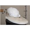 Image 2 : Life-sized WHITE-TAILED PTARMIGAN mounted on a Snowy Base
