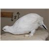 Image 5 : Life-sized WHITE-TAILED PTARMIGAN mounted on a Snowy Base