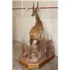 Image 2 : Life-sized BUSHBUCK on a Base with Wheels