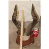 Image 2 : (1) HARTEBEEST, (1) NYALA, (1) IMPALA, and (1) BUSHBUCK Horn Sets on Wooden Plaques (ONE$)