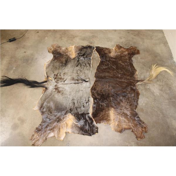 (1) BLACK WILDEBEEST Back Hide and (1) BLUE WILDEBEEST Back Hide (ONE$)