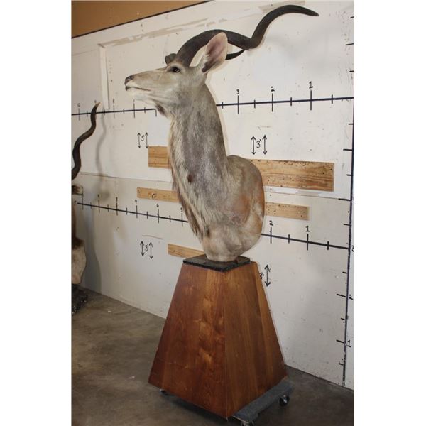 KUDU Pedestal Mount with a Marble Base Top and a Wood Pedestal