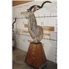 Image 1 : KUDU Pedestal Mount with a Marble Base Top and a Wood Pedestal