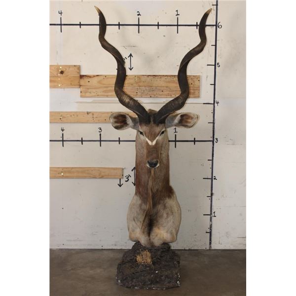 KUDU Pedestal Mount