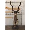 Image 1 : KUDU Pedestal Mount
