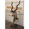 Image 2 : KUDU Pedestal Mount
