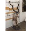 Image 3 : KUDU Pedestal Mount