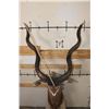 Image 5 : KUDU Pedestal Mount