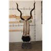 Image 7 : KUDU Pedestal Mount