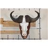 Image 1 : CAPE BUFFALO Skull on a Wood Wall Pedestal