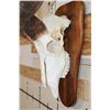 Image 6 : KUDU Skull on a Wooden Plaque