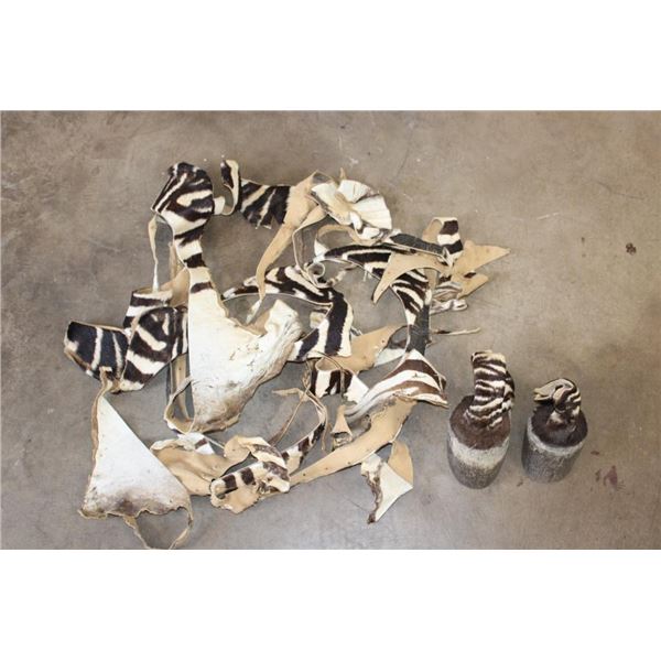 (2) ZEBRA Hooves and ZEBRA Hide Scraps (ONE$)