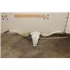 Image 2 : *Massive* TEXAS LONGHORN Skull with All its Teeth and Removable Horns