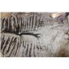 Image 5 : BLUE WILDEBEEST Hide Rug with Leather Piping, a Canvas Backing, and Hanging Loops