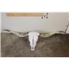 Image 1 : *Big* TEXAS LONGHORN Skull with Removable Horns
