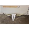 Image 2 : *Big* TEXAS LONGHORN Skull with Removable Horns