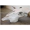 Image 4 : *Big* TEXAS LONGHORN Skull with Removable Horns