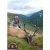 Image 2 : Ireland Sika Stag Hunt 4 Days, 1H, 1NH