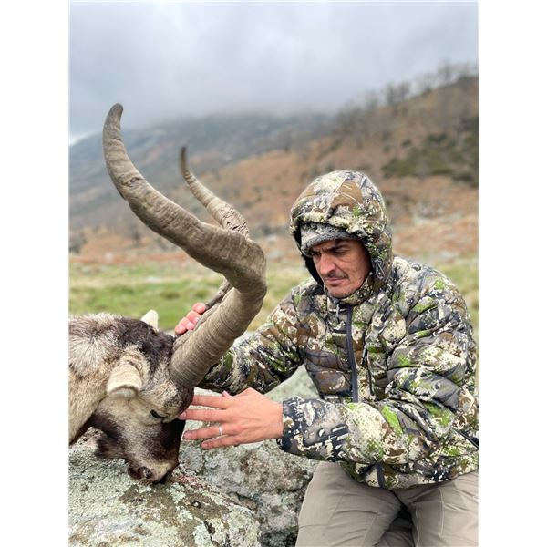 Spain Ibex Hunt and Tour 1 Hunter, 1 NonHunter