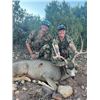 Image 1 : Utah Archery Deer, 2 Hunters, 5 Days